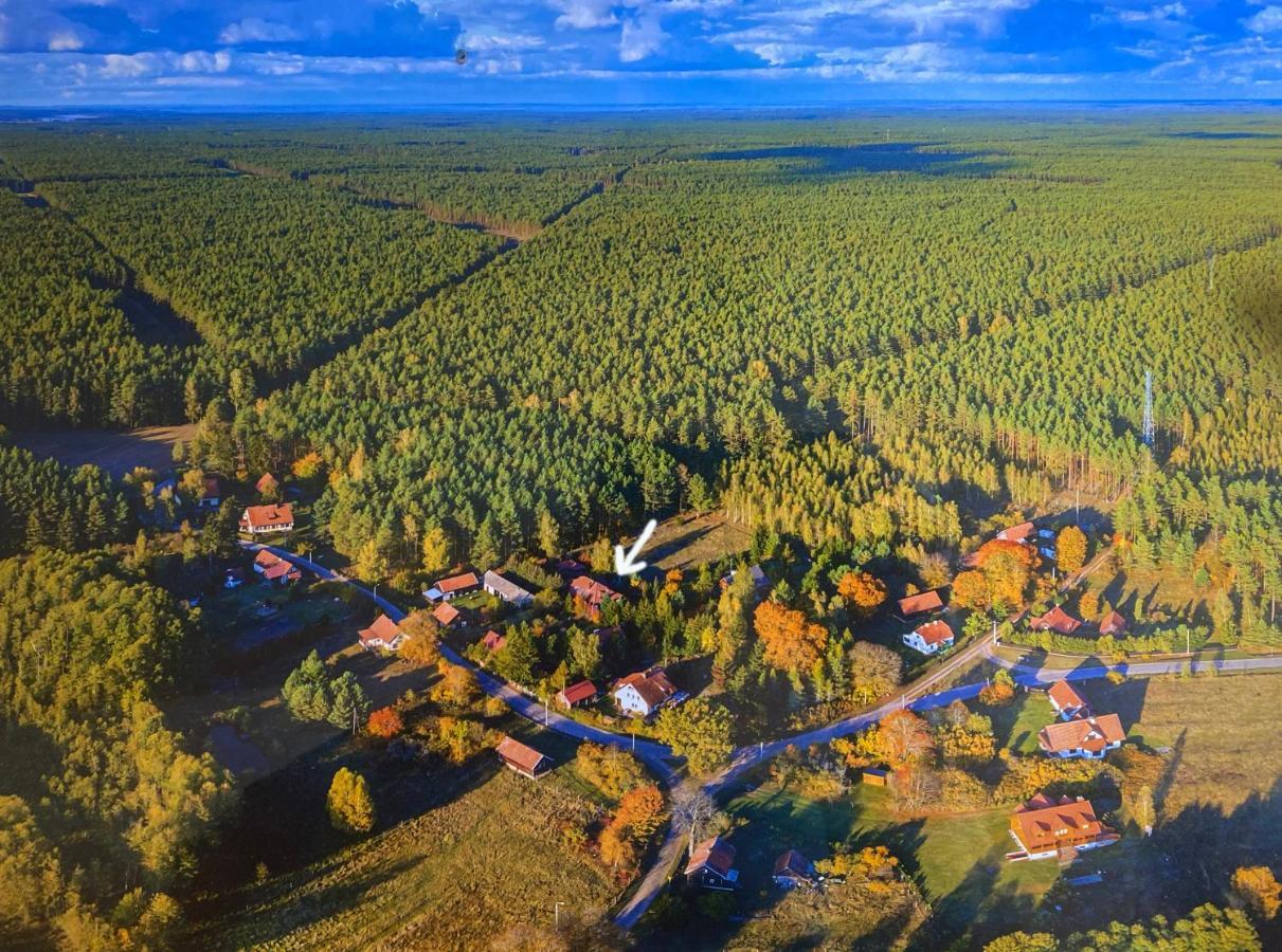Szeroki Bor Oaza W Puszczy Z Sauna, Bania I Jacuzzi Extérieur photo