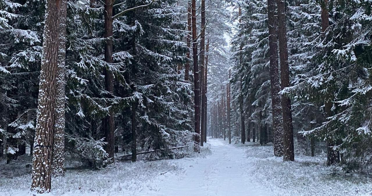 Szeroki Bor Oaza W Puszczy Z Sauna, Bania I Jacuzzi Extérieur photo